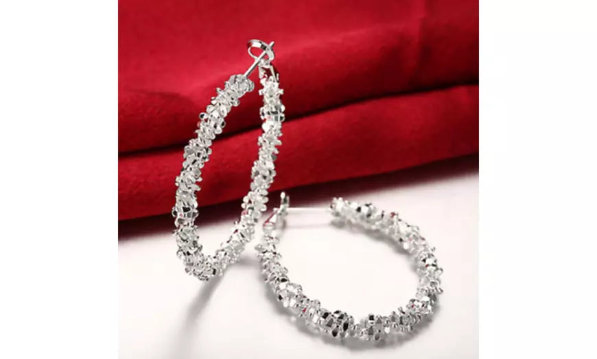 Luxury Double-Row Round Hoop Earrings