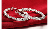 Luxury Double-Row Round Hoop Earrings