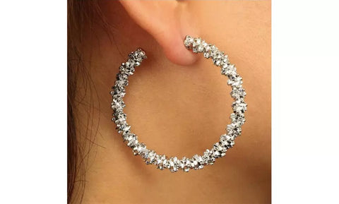 Luxury Double-Row Round Hoop Earrings